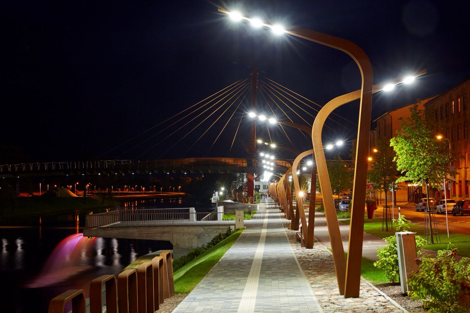 Project Image 2
